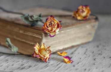 Withered roses lie on an old and tattered book. Minimalism.