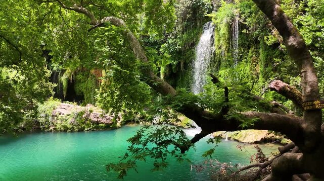 Lush vegetation surrounds a waterfall cascading into a turquoise pond, framed by large tree branches in Kursunlu Waterfall Nature Park near Antalya, Turkiye
