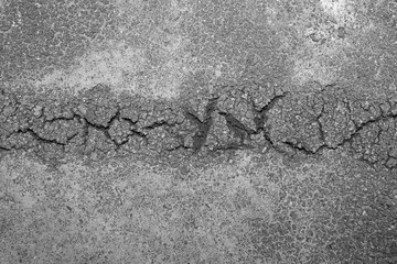 Textured Concrete Surface with Dried Residue, Moss Crust, and Fine Cracks