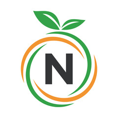  Initial Orange Logo combine with letter N vector template