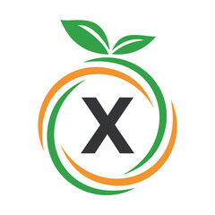  Initial Orange Logo combine with letter X vector template