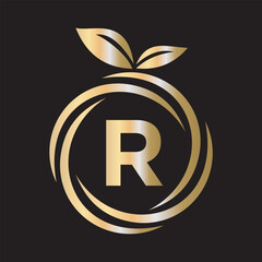  Initial Orange Logo combine with letter R vector template