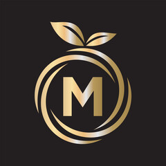  Initial Orange Logo combine with letter M vector template