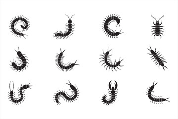Curved and twisted centipede silhouettes in minimalist style forming letters and abstract motion patterns