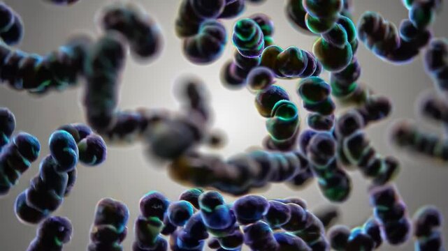 Microscopic view of streptococcus pneumoniae bacteria, responsible for diseases such as pneumonia and meningitis, floating on a white background