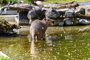 Fototapety na wymiar - Fototapeta24.pl