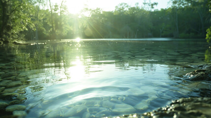 Fototapeta premium serene river scene with sunlight reflecting on clear water, surrounded by lush greenery