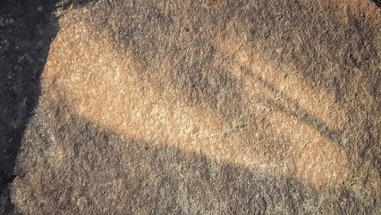 Abstract Rock Surface with Earthy Tones