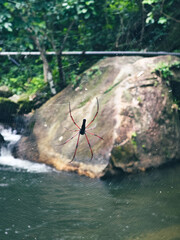 Khlong Chang Waterfall – Hidden Gem of Nakhon Si Thammarat, Thailand

