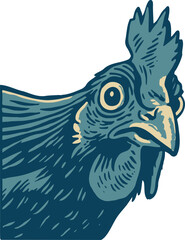 rooster logo, black outline, vector graphic, transparent background