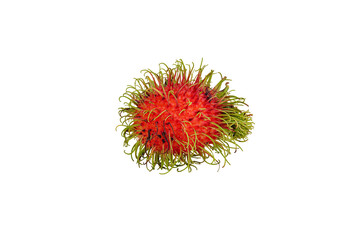 fresh rambutan fruit isolated on transparent background.