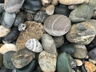 Natural Pebble Texture Background with Multicolored River or Sea Stones.