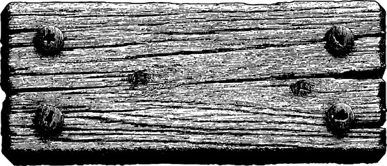 Engraved illustration of reclaimed wood slab for rustic design and decoration