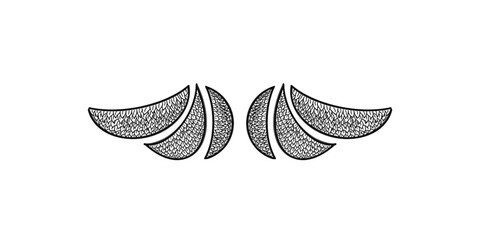 illustration a pair of wings