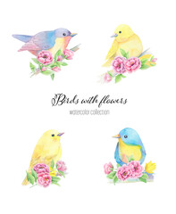 Watercolor Birds with Pink Flowers Collection