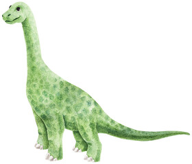 Tall green brachiosaurus hand drawn. Cute isolated dinosaur. Long neck and calm mood. Watercolor texture on paper.