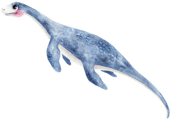 Long-necked cute elasmosaurus hand drawn. Watercolor illustration on paper. Shy character, peaceful and dreamy. Blue sea fantasy.