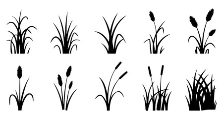 Naklejka premium Silhouettes of various grass and reed plant illustrations