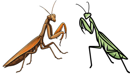 Mantis logo vector.eps