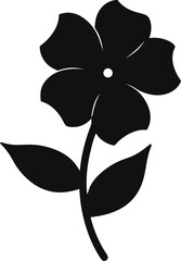 orchid flower vector illustration