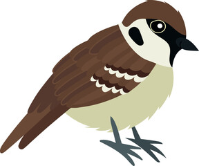 Common sparrow. Small bird in cute cartoon style. Isolated vector clip art illustration.