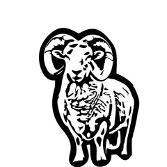 Majestic Ram Vector Illustration – Curved Horn Wild Sheep Artwork
