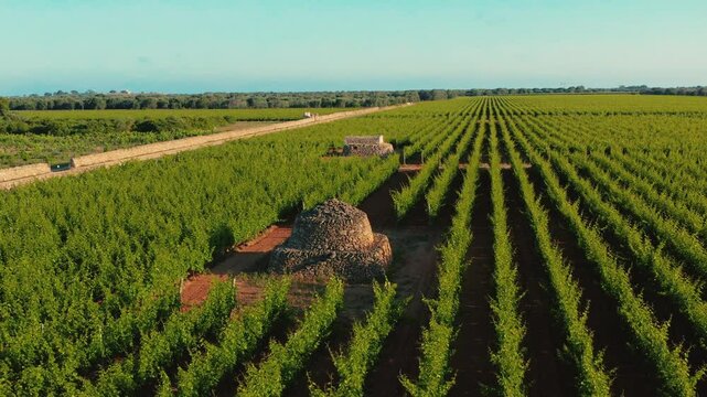 Storie di Pietra e Sole: Un trullo  ( Pajaro ) nel Salento al Crepuscolo - Puglia, Torricella, Taranto, Italia