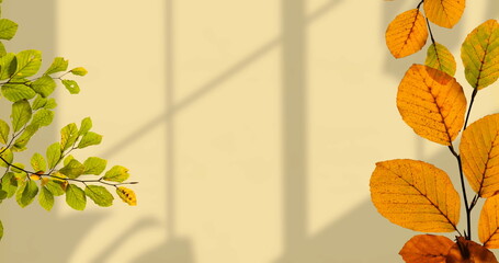Image of leaves on branches over shadows on beige wall
