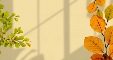 Image of leaves on branches over shadows on beige wall