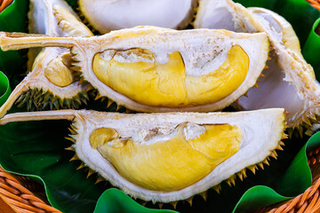close-up of opened fresh ripe durian fruit with golden yellow flesh and thorny husk, placed on...