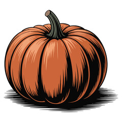 pumpkin isolated on white