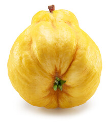 Quince bottom view isolated on white background. File contains clipping path.