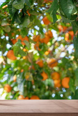 Empty wooden board or table top and blurred orange orchard. Place your product display.