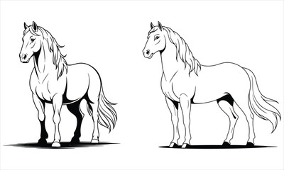 horse vector illustration