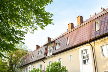 old building in the city and tree
