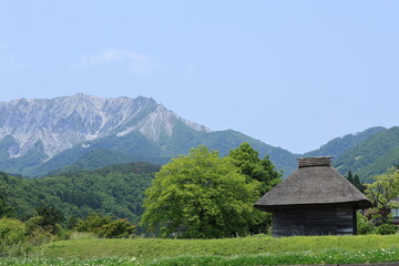 日本の古い建築物と大きな山が見える景色（大山）