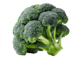 Picked broccoli