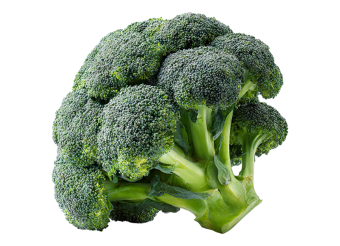 Picked broccoli