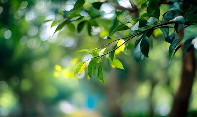 Lush Green Leaves in Sunlight