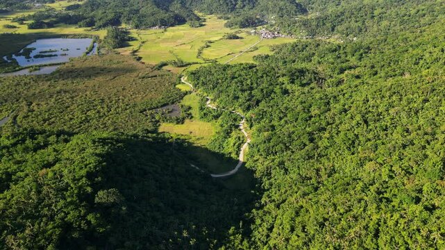 Scenic aerial flyover of hillside winding roads along lush tropical greenery during daytime at Batalay, Bato, Catanduanes, Philippines