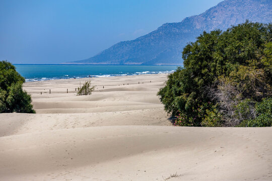 Rolling sand dunes of Patara beach stretching to turquoise sea under clear blue sky. Mediterranean coast, green shrubs, and distant mountains. Patara, Turkey.