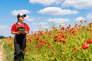 Ecologist conducting biodiversity assessment on a rewilded site with wild poppies.