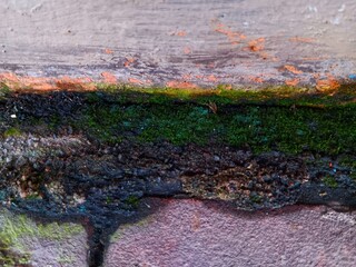 Abstract texture of green moss grows in the  natural stone floor surface background.