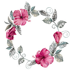 Hibiscus dark pink flowers, gray silver leaves and branches, liana, vine wreath hand drawn watercolor illustration isolated on white. Bright round frame for exotic, gloomy designs, cards, invitations