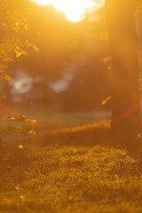 As day ends, a vibrant sunset bathes the grassy field in warm light, showcasing natures beauty....