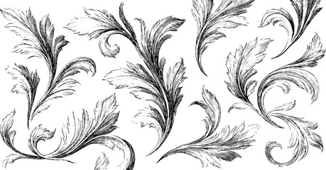 Obraz premium Elegant engraved floral motifs for decorative design and art projects