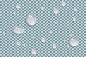 Rain water drops falling on transparent background. Realistic clear water, water drops for creative banner design. Vector.