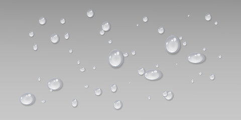 Rain water drops falling on transparent background. Realistic clear water, water drops for creative banner design. Vector.
