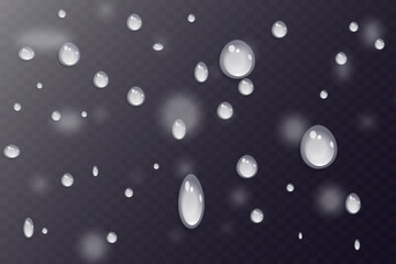 Rain water drops falling on transparent background. Realistic clear water, water drops for creative banner design. Vector.