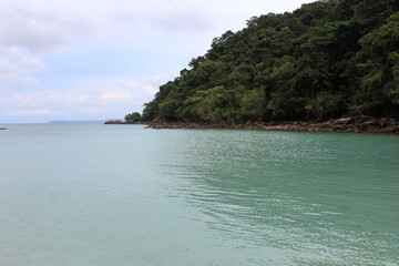 Rocky Shoreline and Lush Jungle. Tropical rocks along the shore lead into a dense green forest,...